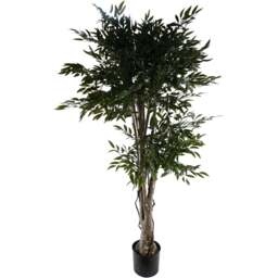 Botanik Japanese Ruscus Artificial Tree in Pot 5ft - Size: 140 x 70 x 70cm - Green - Wilko - thumbnail 1