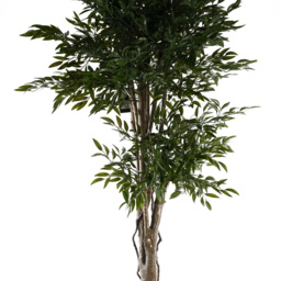 Botanik Japanese Ruscus Artificial Tree in Pot 5ft - Size: 140 x 70 x 70cm - Green - Wilko - thumbnail 5