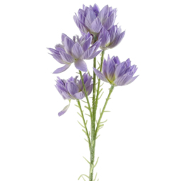 Leaf 30 Purple Starflower Artificial Stem Flowers 60cm 6 Pack - Size: 60 x 8 x 8cm - Wilko - thumbnail 4