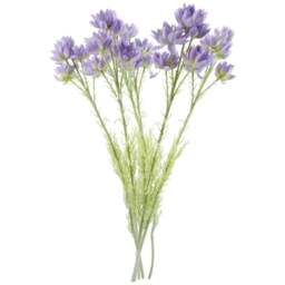 Leaf 30 Purple Starflower Artificial Stem Flowers 60cm 6 Pack - Size: 60 x 8 x 8cm - Wilko