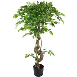 Botanik Japanese Fruticosa Ficus Artificial Tree with Twisted Trunk in Pot 4ft - Size: 120 x 60 x 60cm - Green - Wilko - thumbnail 1