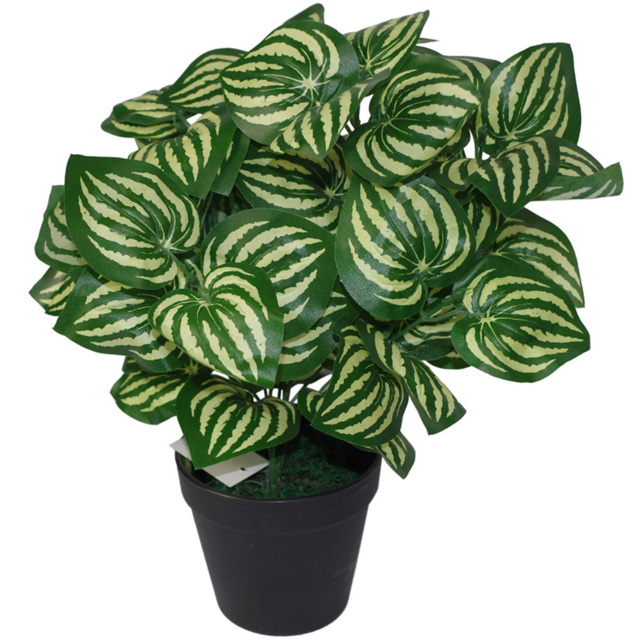 Leaf Watermelon Style Leaves Artificial Plant Pot 40cm - Size: 40 x 40 x 40cm - Green - Wilko - image 1
