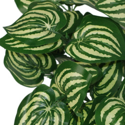Leaf Watermelon Style Leaves Artificial Plant Pot 40cm - Size: 40 x 40 x 40cm - Green - Wilko - thumbnail 3