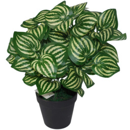 Leaf Watermelon Style Leaves Artificial Plant Pot 40cm - Size: 40 x 40 x 40cm - Green - Wilko - thumbnail 1