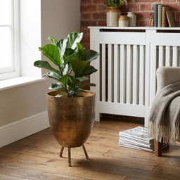 Gold Large Planter Gold - Wilko - thumbnail 7