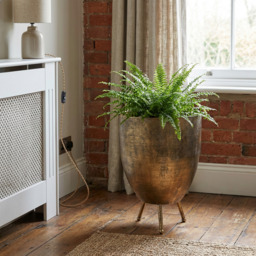 Gold Large Planter Gold - Wilko - thumbnail 6