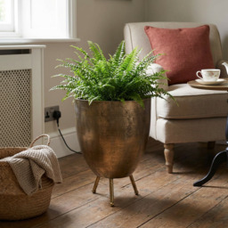 Gold Large Planter Gold - Wilko - thumbnail 5