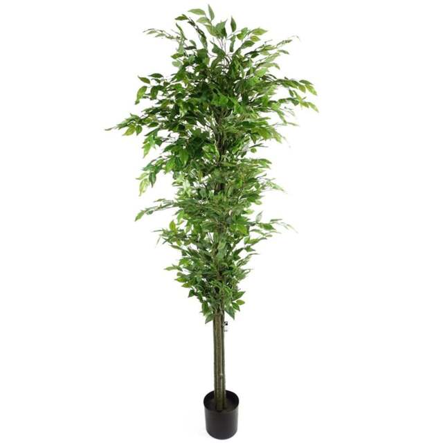 Leaf Ficus Artificial Tree in Pot 180cm - Size: 180 x 70 x 70cm - Green - Wilko - image 1
