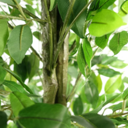 Leaf Ficus Artificial Tree in Pot 180cm - Size: 180 x 70 x 70cm - Green - Wilko - thumbnail 4