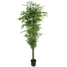 Leaf Ficus Artificial Tree in Pot 180cm - Size: 180 x 70 x 70cm - Green - Wilko - thumbnail 1