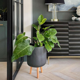 wilko Ribbed Grey Indoor Cylinder Plant Pot with Legs 46cm - Instadecor - thumbnail 5