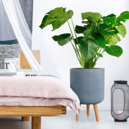 wilko Ribbed Grey Indoor Cylinder Plant Pot with Legs 46cm - Instadecor - thumbnail 4