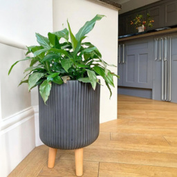 wilko Ribbed Grey Indoor Cylinder Plant Pot with Legs 46cm - Instadecor - thumbnail 3