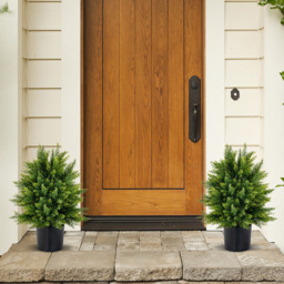 Costway Cedar Topiary Ball Artificial Plant In Pot 2ft 2 Pack - Size: 53 x 40 x 27cm - Multi - Wilko - thumbnail 3
