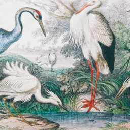 Oriental Birds Cushion - Multicolour - Wilko - thumbnail 3