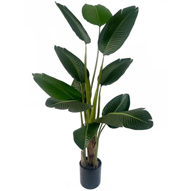 Leaf Traveller Banana Palm Artificial Tree 150cm - Size: 150 x 70 x 70cm - Green - Wilko - image 1