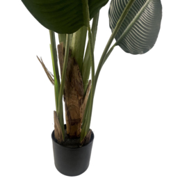 Leaf Traveller Banana Palm Artificial Tree 150cm - Size: 150 x 70 x 70cm - Green - Wilko - thumbnail 4