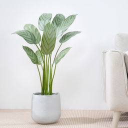 Bird of Paradise Artificial Indoor Plant 110cm - Size: 110 x 30 x 30cm - Green - MCC - Wilko - thumbnail 3
