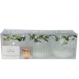 Eucalyptus and Pearl LED Candles 3 Pack - Size: 22 x 7 x 7cm - Wilko - thumbnail 1