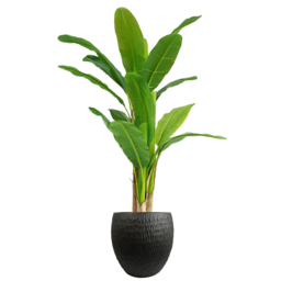Leaf Inoke Grey Embossed Composite Planter 43cm - Size: 43 x 43 x 43cm - Wilko - thumbnail 3