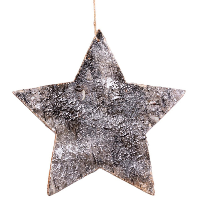 Shatchi Birch Bark Star Shaped Ornament - Silver - Wilko - image 1