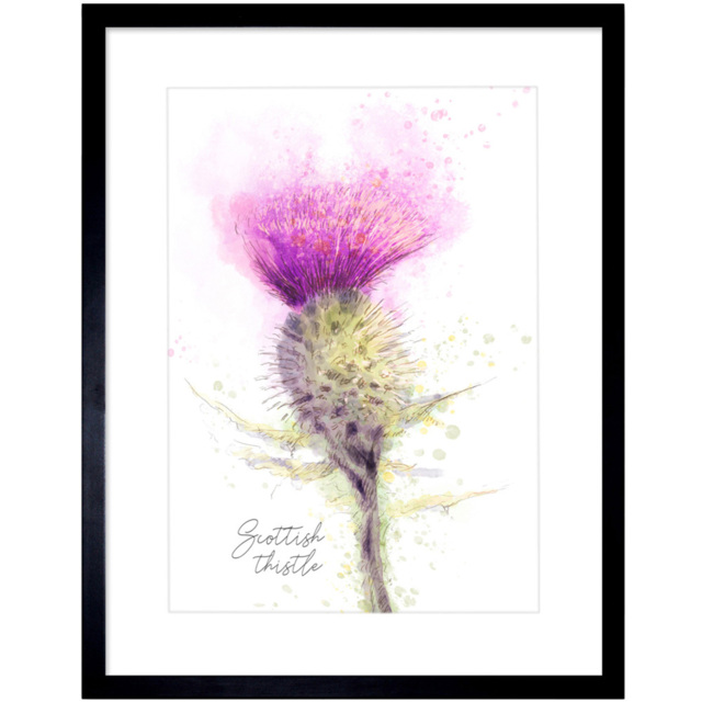 Wee Blue Coo Thistle Flower Head Scotland Watercolour Framed Wall Art Print 30 x 41cm - Size: 43.3 x 33.3 x 1.5cm - Purple - Wilko - image 1