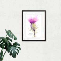 Wee Blue Coo Thistle Flower Head Scotland Watercolour Framed Wall Art Print 30 x 41cm - Size: 43.3 x 33.3 x 1.5cm - Purple - Wilko - thumbnail 4
