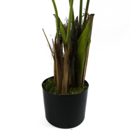 Botanik Kentia Palm Artificial Tree in Pot 4ft - Size: 120 x 90 x 90cm - Green - Wilko - thumbnail 4