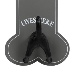 Single Personalised Dog Plaque 21 x 12.5cm in Assorted styles - Size: 12 x 21 x 6cm - Wilko - thumbnail 4