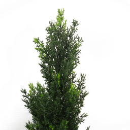 Botanik Cedar Topiary Artificial Tree in Pot 3ft - Size: 90 x 25 x 25cm - Green - Wilko - thumbnail 4
