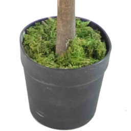Leaf Red and Green Ficus Artificial Tree in Pot 130cm - Size: 130 x 50 x 50cm - Wilko - thumbnail 3
