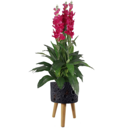 Botanik Lunar Black Planter 35 x 24cm - Size: 35 x 24 x 24cm - Grey - Wilko - thumbnail 5