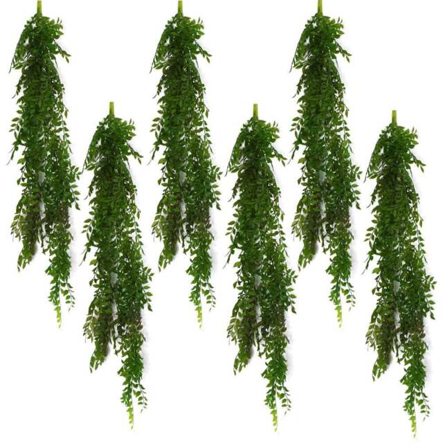 Leaf Dark Green Fern Hanging Pearls Plant 100cm 6 Pack - Size: 100 x 12 x 12cm - Wilko - image 1