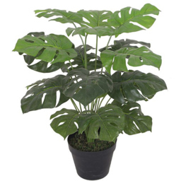 Leaf Monstera Artificial Plant Pot with Moss Covered Finish 60cm - Size: 60 x 60 x 60cm - Green - Wilko