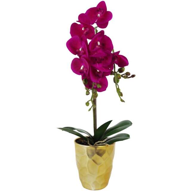 Botanik Dark Pink Orchid Artificial Plant in Gold Pot 54cm - Size: 54 x 20 x 20cm - Wilko - image 1