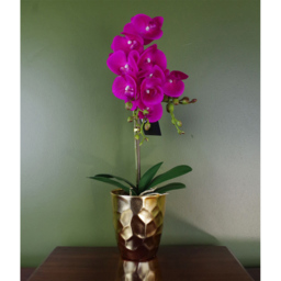 Botanik Dark Pink Orchid Artificial Plant in Gold Pot 54cm - Size: 54 x 20 x 20cm - Wilko - thumbnail 3