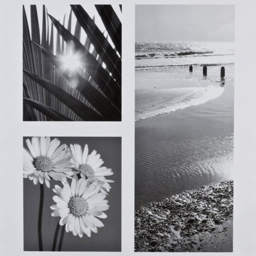 Black Large Poster Photo Frame 36 x 24 inch - The Port. Co Gallery - Wilko - thumbnail 5