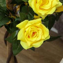 Portland Yellow Rose Artificial Tree in Pot 90cm 2 Pack - Size: 90 x 18 x 18cm - Multi - Wilko - thumbnail 5