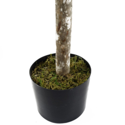 Leaf Buxus Ball Topiary Artificial Tree in Pot 5ft 2 Pack - Size: 140 x 50 x 50cm - Green - Wilko - thumbnail 3