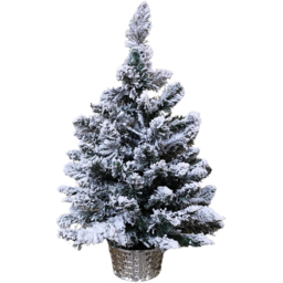 Samuel Alexander Warm White LED Pre Lit Miniature Snow Flocked Christmas Tree with Timer 2ft - Green - Wilko - thumbnail 1