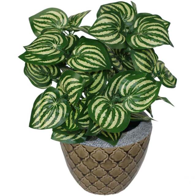 Botanik Watermelon Foliage Artificial Plant in Pot 40cm - Size: 40 x 40 x 40cm - Green - Wilko - image 1