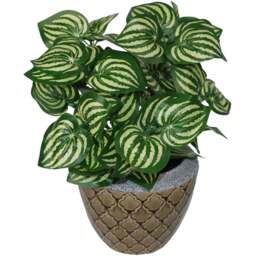 Botanik Watermelon Foliage Artificial Plant in Pot 40cm - Size: 40 x 40 x 40cm - Green - Wilko - thumbnail 1