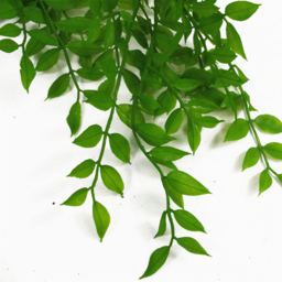 Leaf Artificial Hanging Pearls Fern Plant 100cm - Size: 100 x 12 x 12cm - Green - Wilko - thumbnail 3