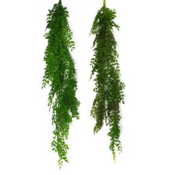 Leaf Artificial Hanging Pearls Fern Plant 100cm - Size: 100 x 12 x 12cm - Green - Wilko - thumbnail 7