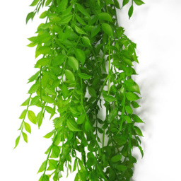 Leaf Artificial Hanging Pearls Fern Plant 100cm - Size: 100 x 12 x 12cm - Green - Wilko - thumbnail 4