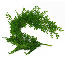 Leaf Artificial Hanging Pearls Fern Plant 100cm - Size: 100 x 12 x 12cm - Green - Wilko - thumbnail 6