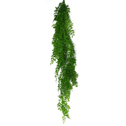 Leaf Artificial Hanging Pearls Fern Plant 100cm - Size: 100 x 12 x 12cm - Green - Wilko - thumbnail 1