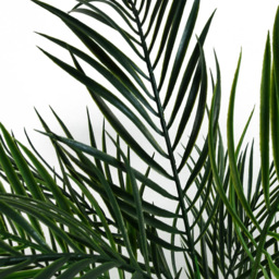 Leaf Areca Palm Artificial Tree 125cm - Size: 125 x 100 x 100cm - Red - Wilko - thumbnail 3