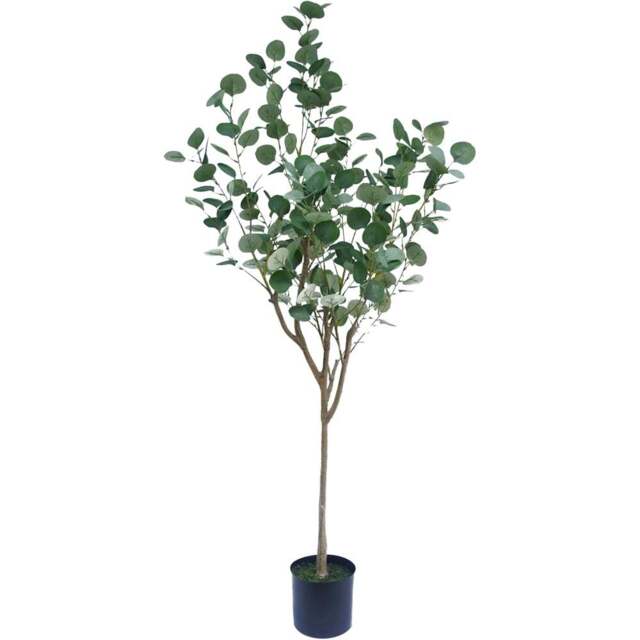 Botanik Eucalyptus Artificial Tree in Pot 5ft - Size: 150 x 50 x 50cm - Green - Wilko - image 1