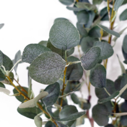 Botanik Eucalyptus Artificial Tree in Pot 5ft - Size: 150 x 50 x 50cm - Green - Wilko - thumbnail 7